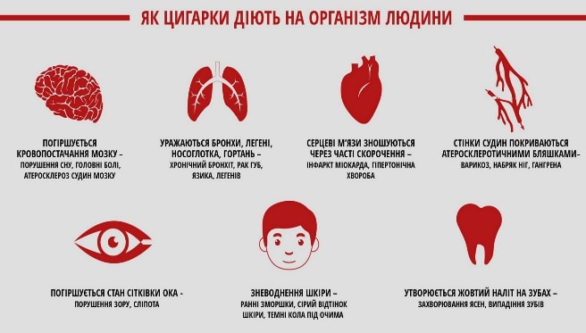 https://urosvit.com/wp-content/uploads/2023/03/vplyv-na-rizni-systemy-orhanizmu.jpg?utm_source=chatgpt.com